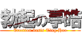 勃起の亭皓 (Erection basis Ting Hao)