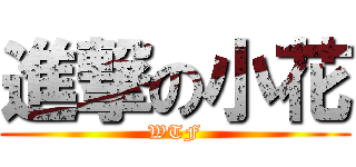 進撃の小花 (WTF)