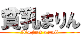 貧乳まりん (It\'s just a wall)