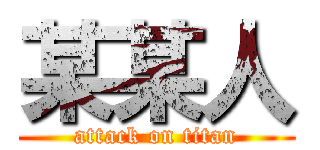 某某人 (attack on titan)