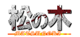 松の木 (MATSUNOKI )