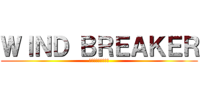 ＷＩＮＤ ＢＲＥＡＫＥＲ (ウィンドブレイカー)