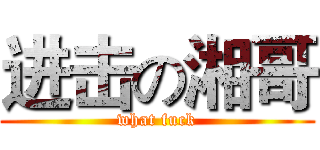 进击の湘哥 (what fuck)