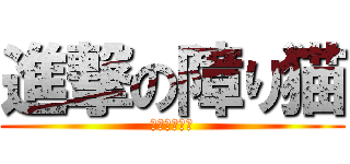 進撃の障り猫 (ブラック羽川)