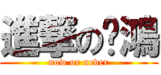 進撃の璨鴻 (now or never)
