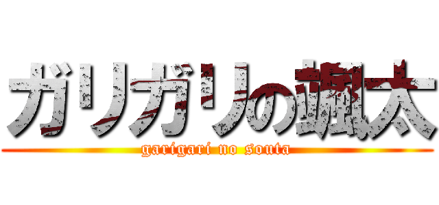 ガリガリの颯太 (garigari no souta)