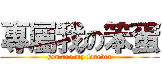 專屬我の笨蛋 (you are my forever)