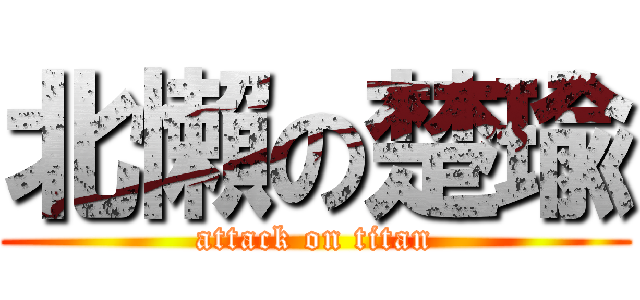 北懶の楚瑜 (attack on titan)