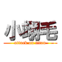 小翊毛 (attack on titan)