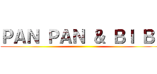 ＰＡＮ ＰＡＮ ＆ ＢＩ ＢＩ ()