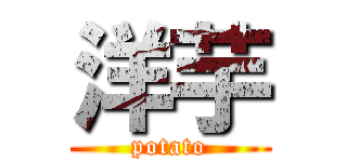 洋芋 (potato)