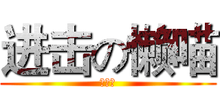 进击の懒喵 (大逗比)