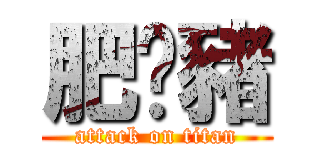 肥溫豬 (attack on titan)
