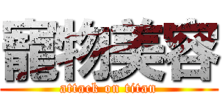 寵物美容 (attack on titan)