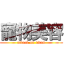 寵物美容 (attack on titan)