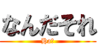 なんだそれ (Ha?)