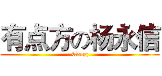 有点方の杨永信 (Tong)