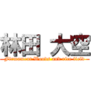 林田 大空 (Firmament Woods and rice field)