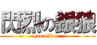 閃烈の銀狼 (gao silver )
