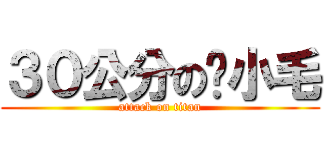 ３０公分の黃小毛 (attack on titan)