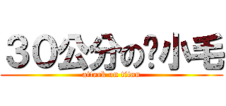 ３０公分の黃小毛 (attack on titan)