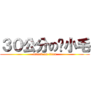 ３０公分の黃小毛 (attack on titan)