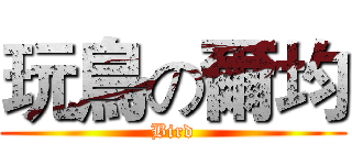 玩鳥の爾均 (Bird)