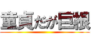 童貞だが巨根 ()