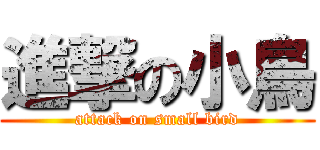 進撃の小鳥 (attack on small bird)