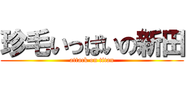 珍毛いっぱいの新田 (attack on titan)