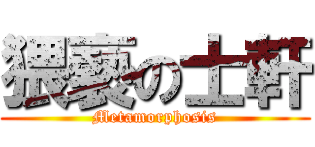 猥褻の士軒 (Metamorphosis)