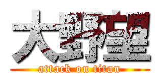 大野望 (attack on titan)