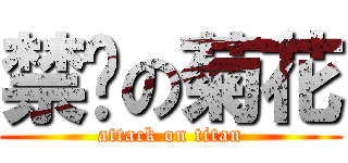 禁击の菊花 (attack on titan)