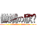 傲嬌の欣醬 (attack on titan)