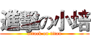 進擊の小培 (attack on titan)