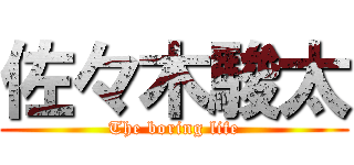 佐々木駿太 (The boring life)