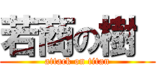 若商の樹  (attack on titan)