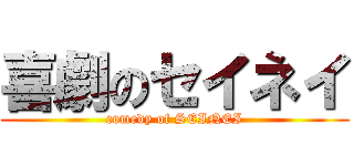 喜劇のセイネイ (comedy of SEINEI)