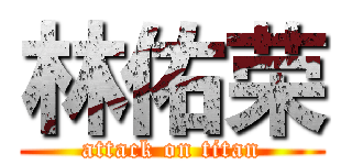 林佑荣 (attack on titan)