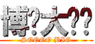 博彥大ㄐㄐ (SOOOO BIG)