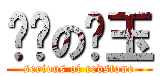 严谨の红玉 (serious of redstone)