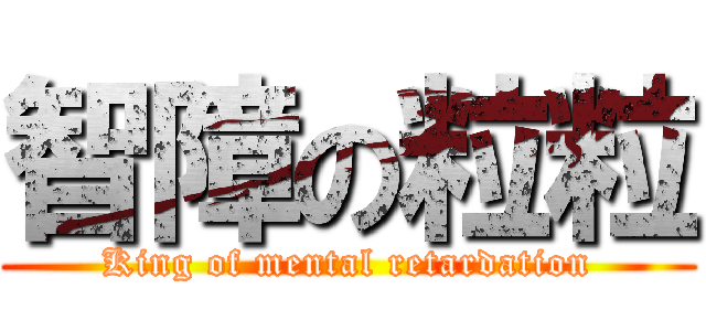 智障の粒粒 (King of mental retardation)