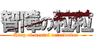 智障の粒粒 (King of mental retardation)
