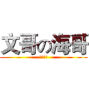 文哥の海哥 (連線時間)