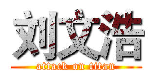 刘文浩 (attack on titan)