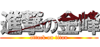 進撃の金峰 (attack on titan)