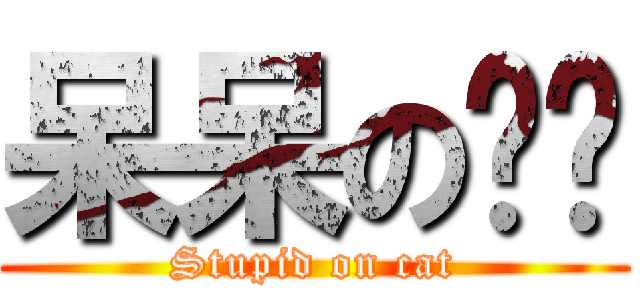 呆呆の傻貓 (Stupid on cat)