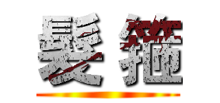 髮 箍 ()