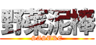 野菜泥棒 (SASUKE)