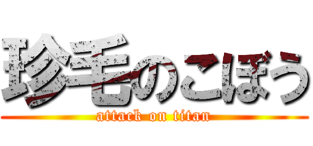 珍毛のこぼう (attack on titan)